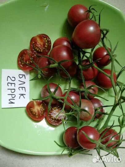 Томаты сортовые шоколадные,черные, зелёные семена