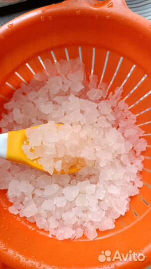 Индийский морской рис