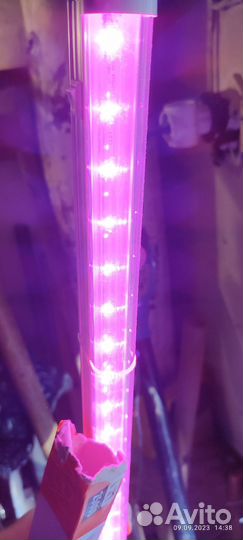 Светильник для растений