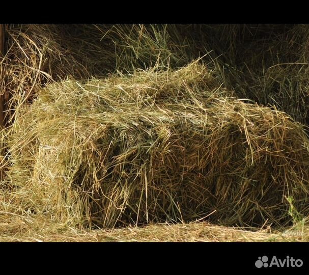 Сено в тюках