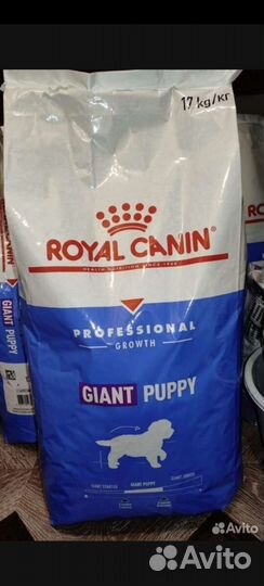 Сухой корм для собак крупных пород