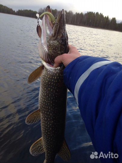Аренда Прокат Лодка надувная с транцем и Сап борд