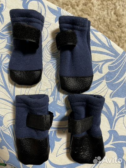 Обувь для собак