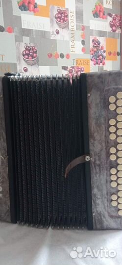 Казань гармонь