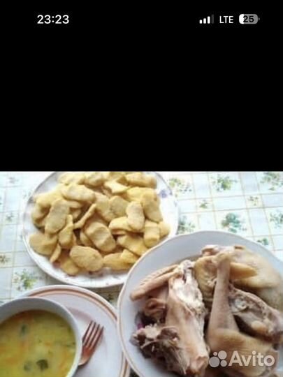 Куры домашние