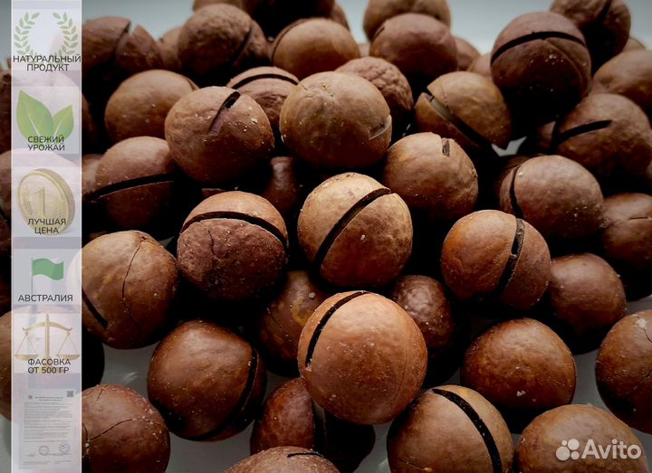 Макадамия в скорлупе (3А, 5А), очищенная