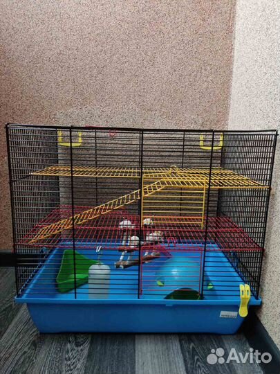 Клетка для грызунов бу