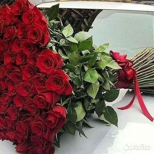 101 роза цветы букеты доставка 25 51 101 роза