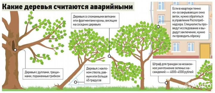 Спил деревьев,расчистка участков,демонтаж построек