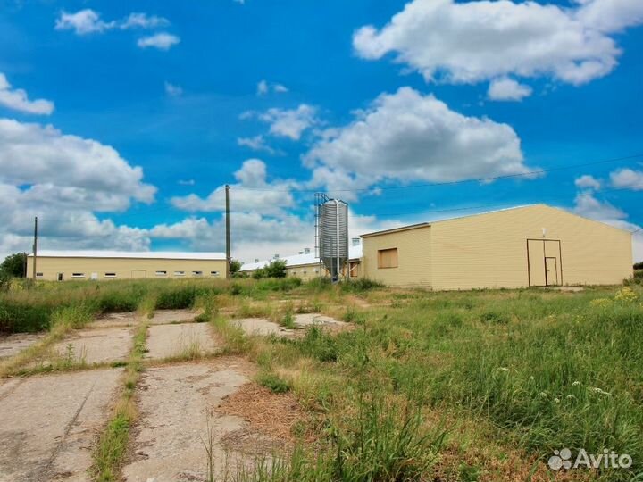 Сельхоз предприятие. 12 строений площадью 8.600м2