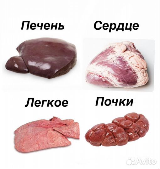 Кости для собак