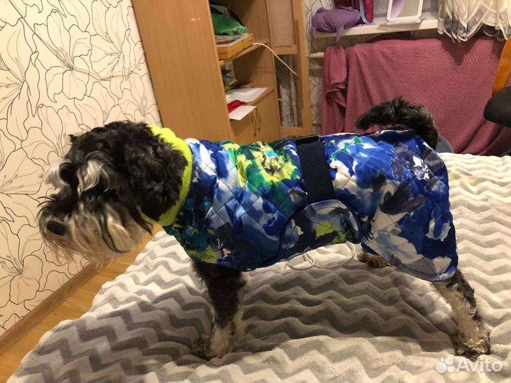 Вязаные свитера для собак. Пошив попон для собак
