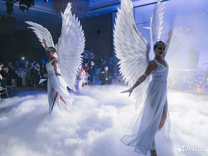 Шоу / артисты на свадьбу. Организация свадьбы