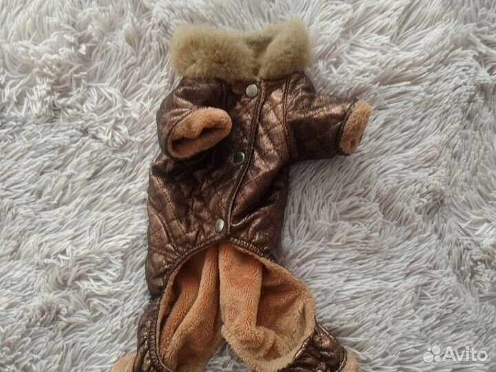 Одежда для маленьких собак и кошек