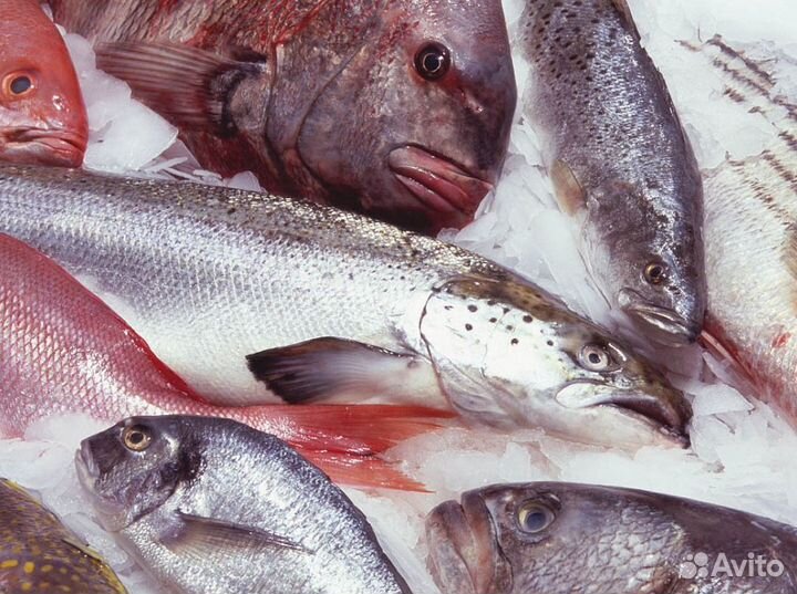 Франшиза: бизнес с поддержкой