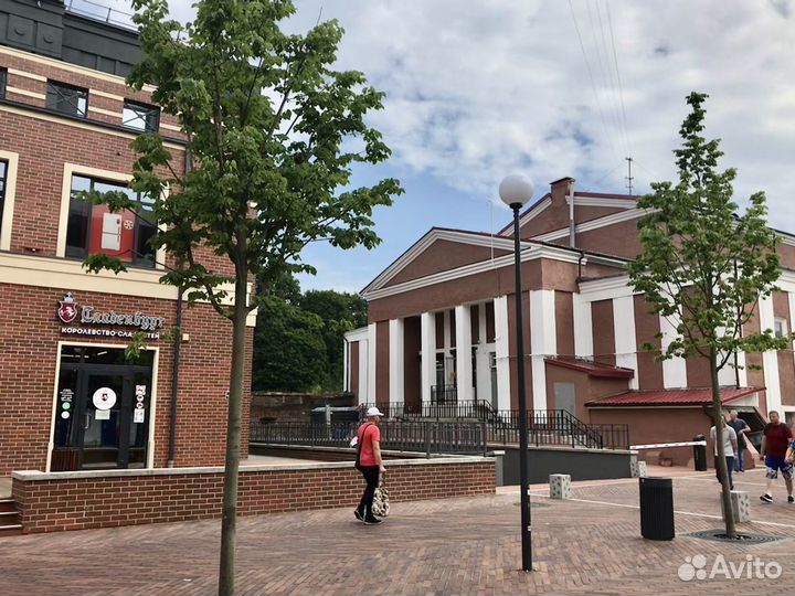 Насос для полива вибрационный