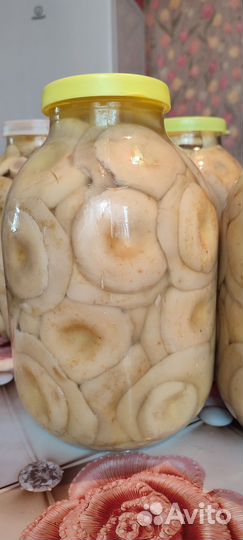 Грибы грузди соленые