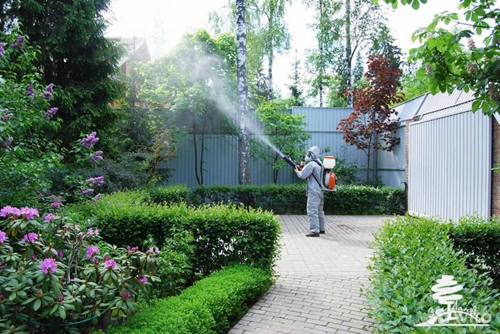 Обработка участков от клещей, борщевика, кротов