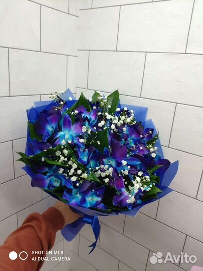 Букеты цветы корзины гипсофила розы