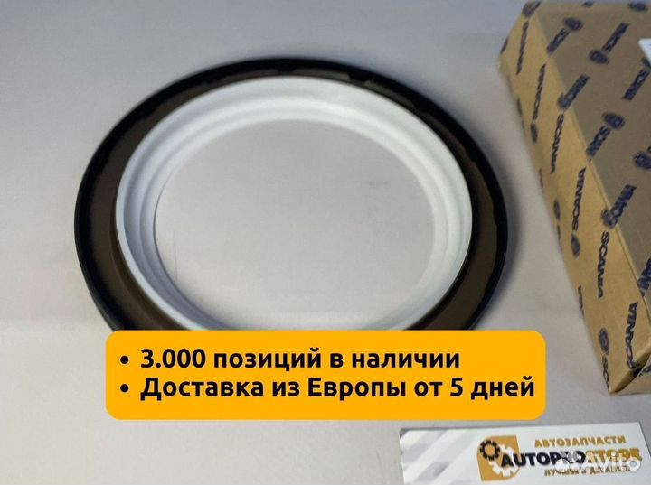 Сальник коленвала Scania 145x175x13