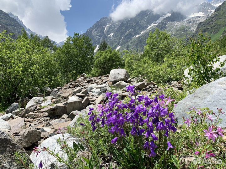 Экскурсия — Владикавказ — Цейская Сказка: легенды