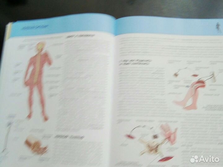 Полная энциклопедия Человек