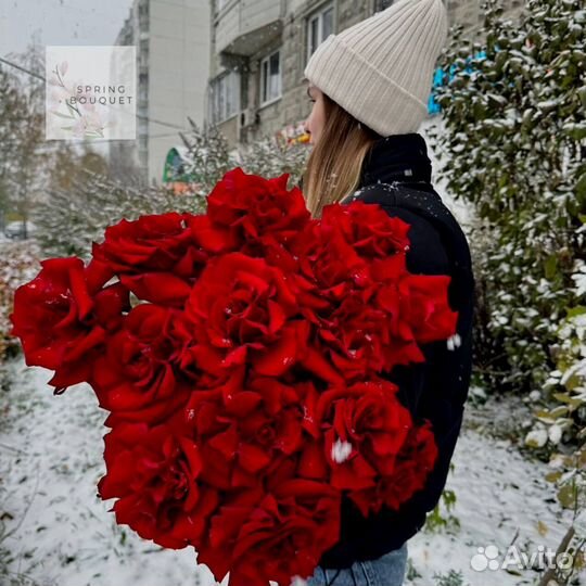 101 роза Цветы