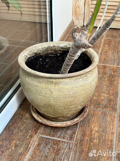 Горшок для цветов из глины и керамики 15 л