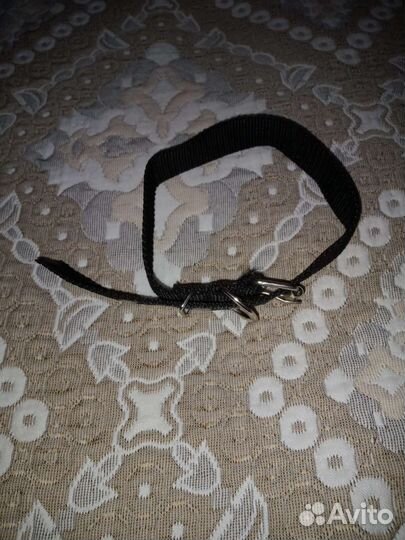 Ошейник для собак