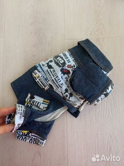 Вещи для собаки мелких пород