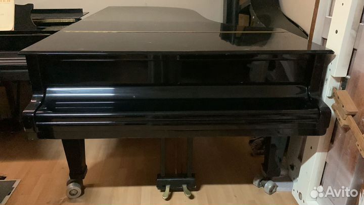 Рояль Bluthner