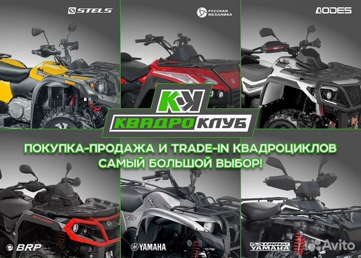 Квадроцикл promax wild 175 черный