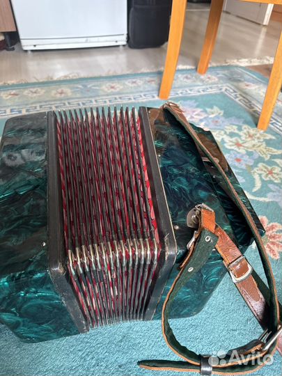 Гармонь Беларусь 3х голосная