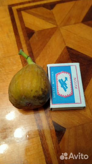 Инжир.сладкий вкусный местный