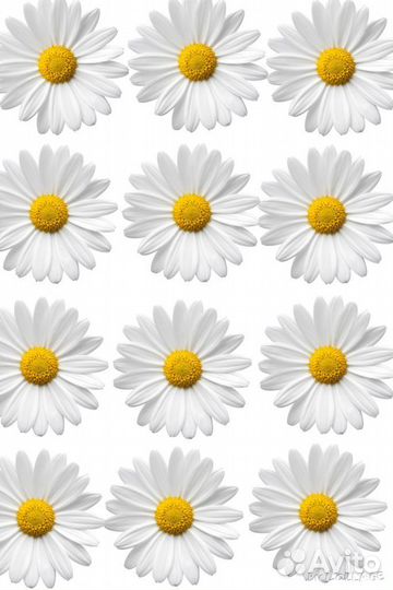 Букеты на подарок