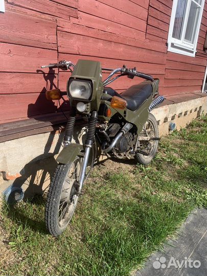 Зид пилот 50