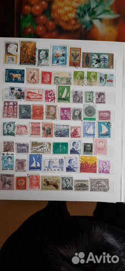 Альбом иностранных марок