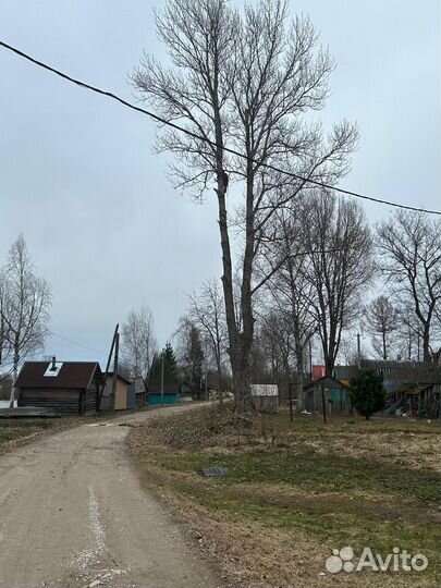 Спил аварийных деревьев