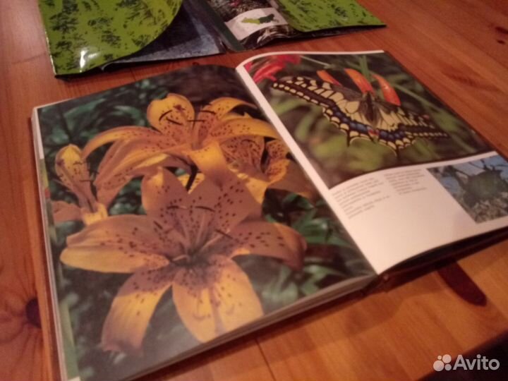 Книга фотоальбом 