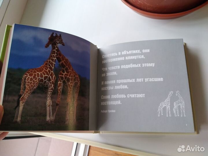 Книга о любви в картинках