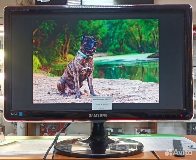 Монитор Samsung SyncMaster S22A350N