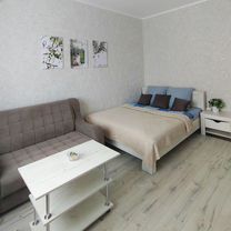 1-к. квартира, 42 м², 2/3 эт.