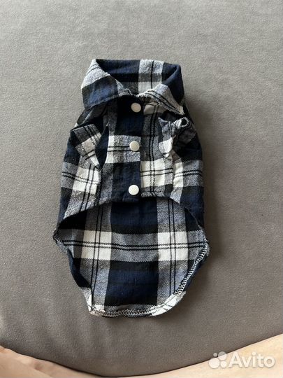 Одежда для животных