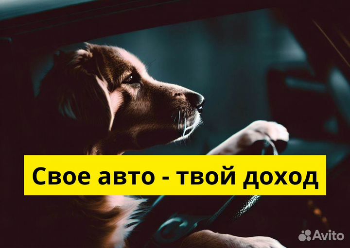 Вакансия водителя в Яндекс Go