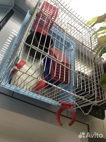 Клетка для грызунов