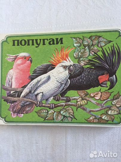 Спички коллекционные