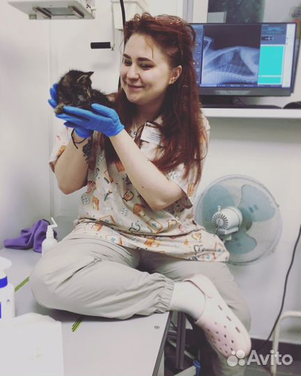 Ветеринарный врач-терапевт, ратолог на дом