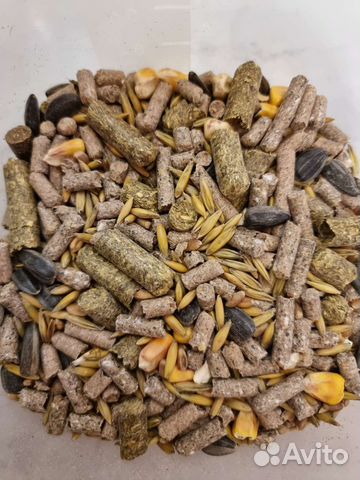 Корм для шиншилл