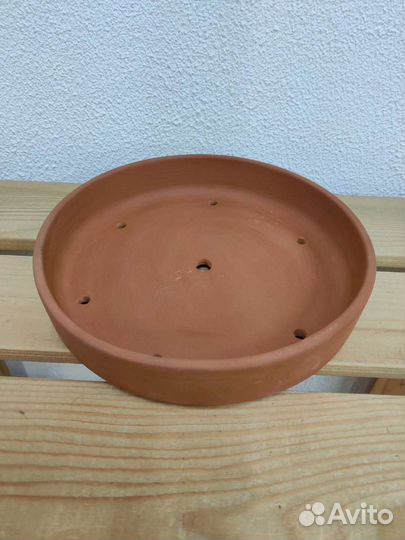 Бонсайницы