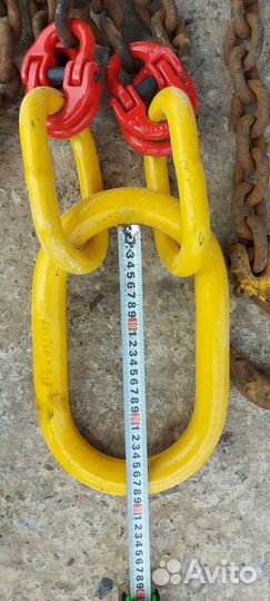 Паук цепной